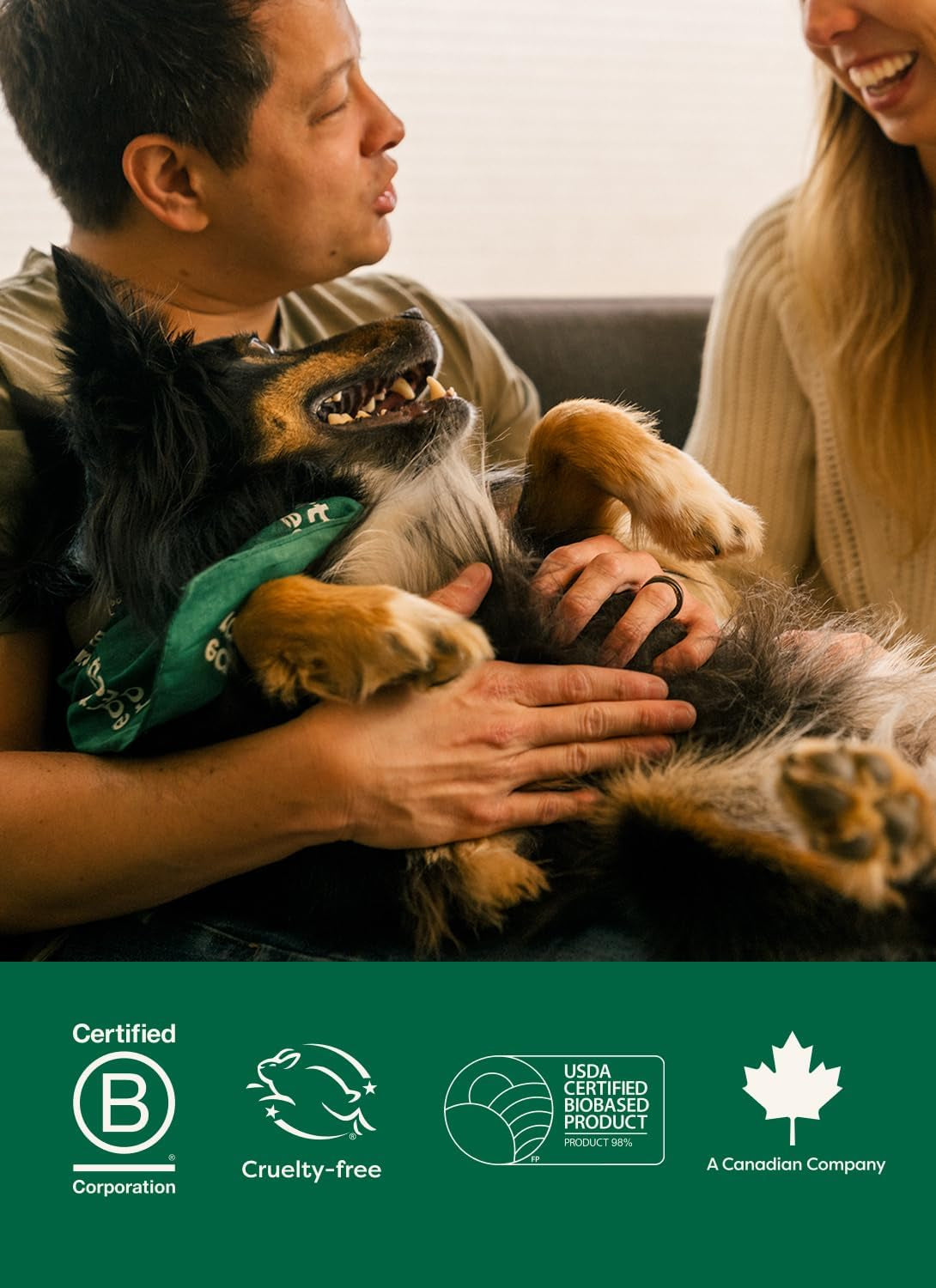 Pet grooming wipes for everyday dog care