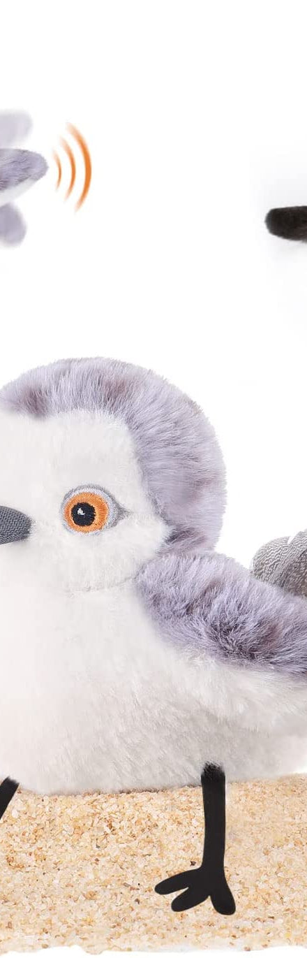 Interactive flapping bird cat toy rechargeable