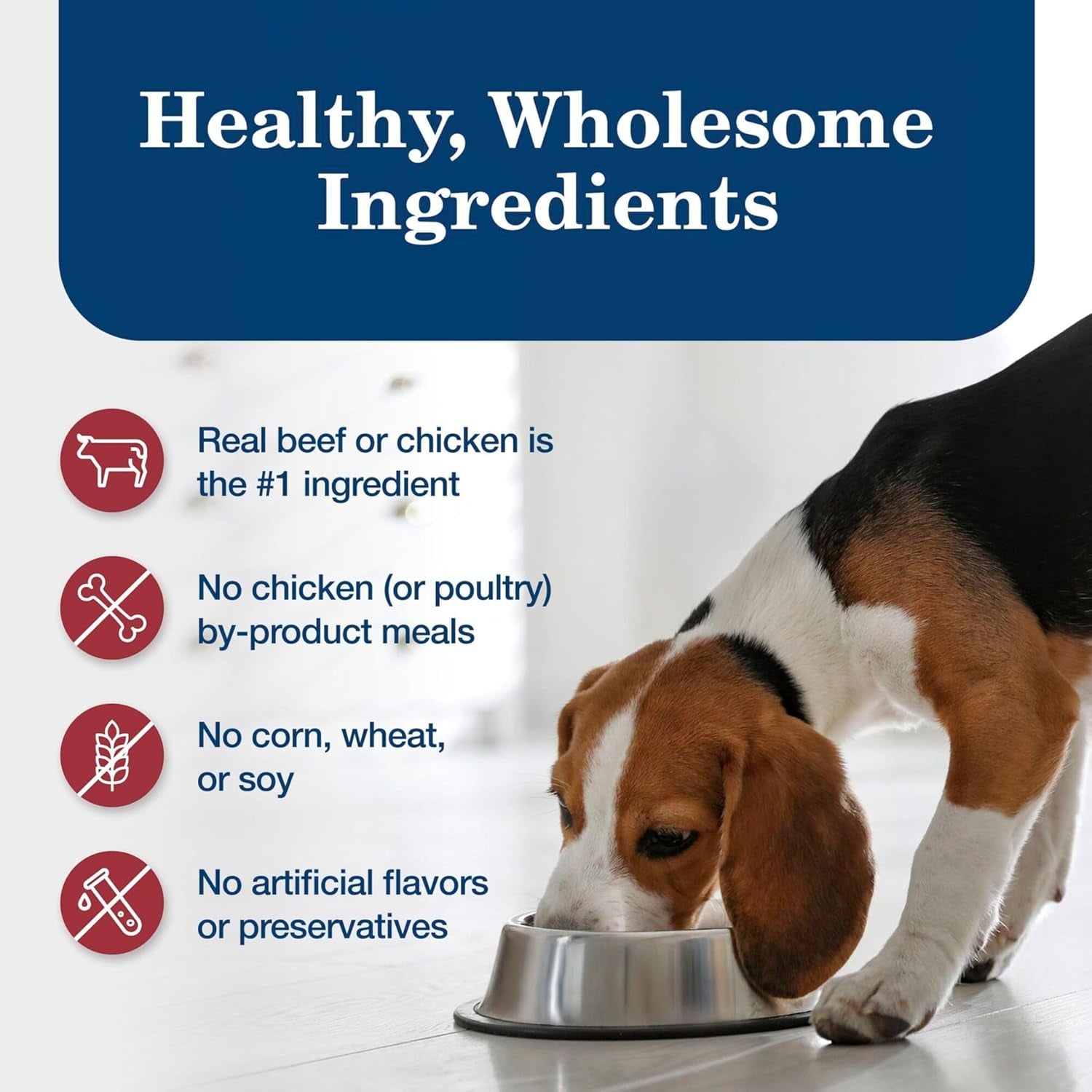 Homestyle Recipe Adult Wet Dog Food, Made with Natural Ingredients, Chicken and Beef Dinner Variety Pack, 12.5-Oz Cans (6 Count, 3 of Each)