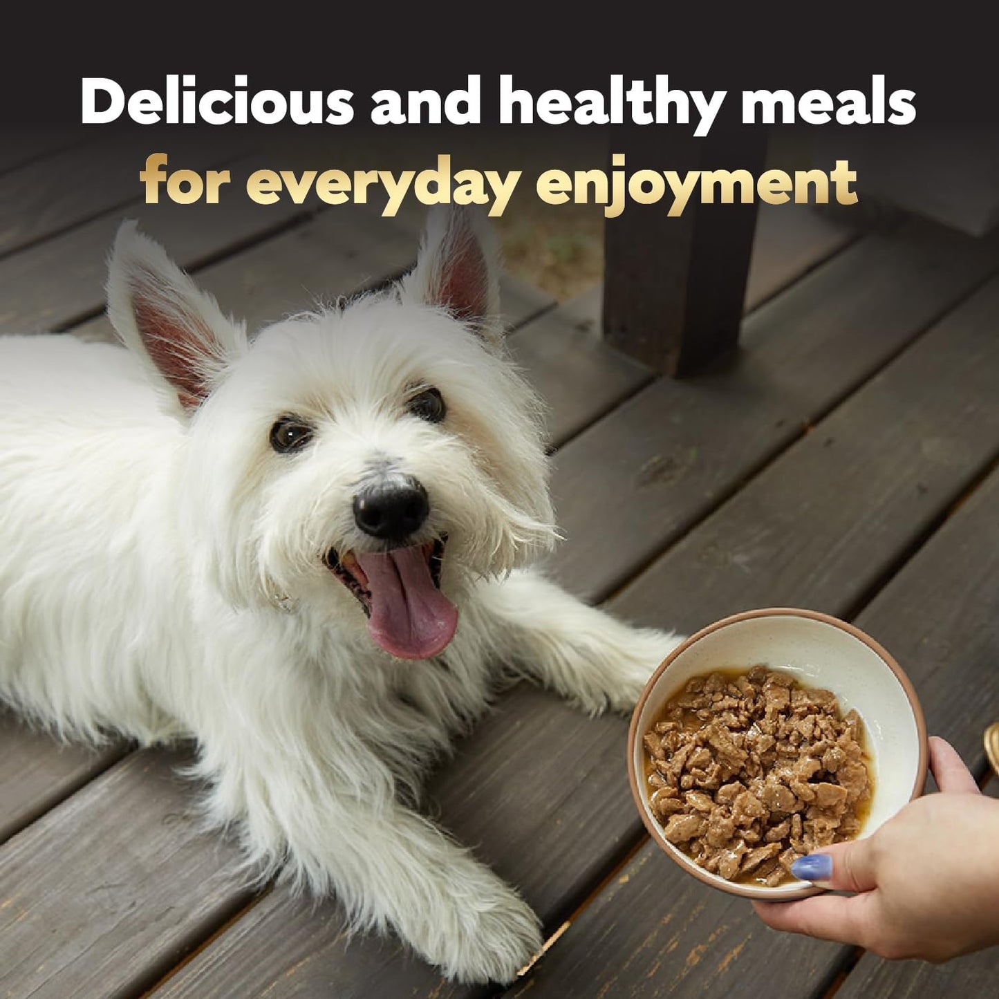 Filets in Gravy Adult Wet Dog Food Variety Pack, Filet Mignon, New York Strip and Prime Rib Flavors, 3.5 Oz. Easy Peel Trays, Variety Pack, 24 Count