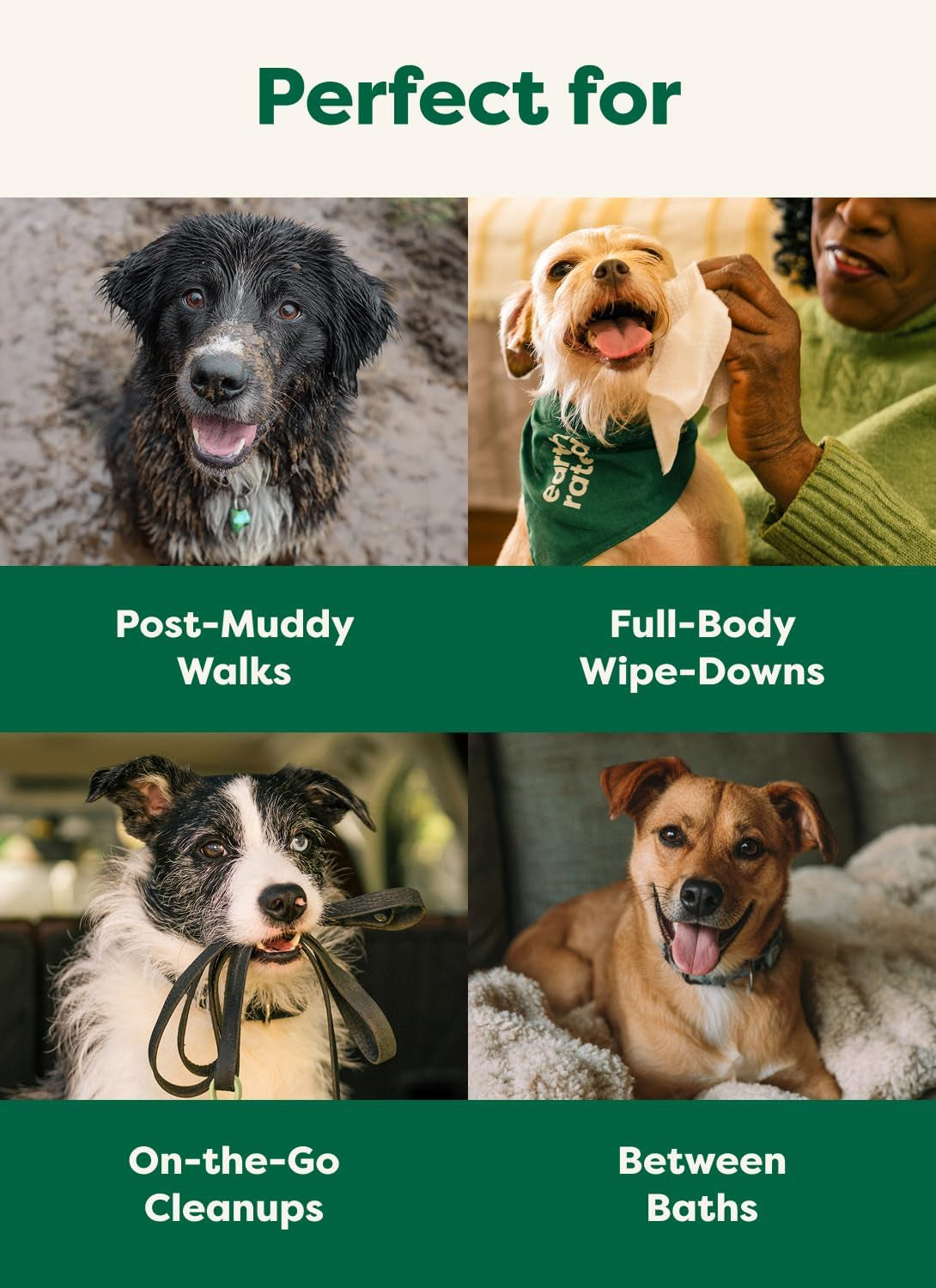 Dog wipes for cleaning paws body and face