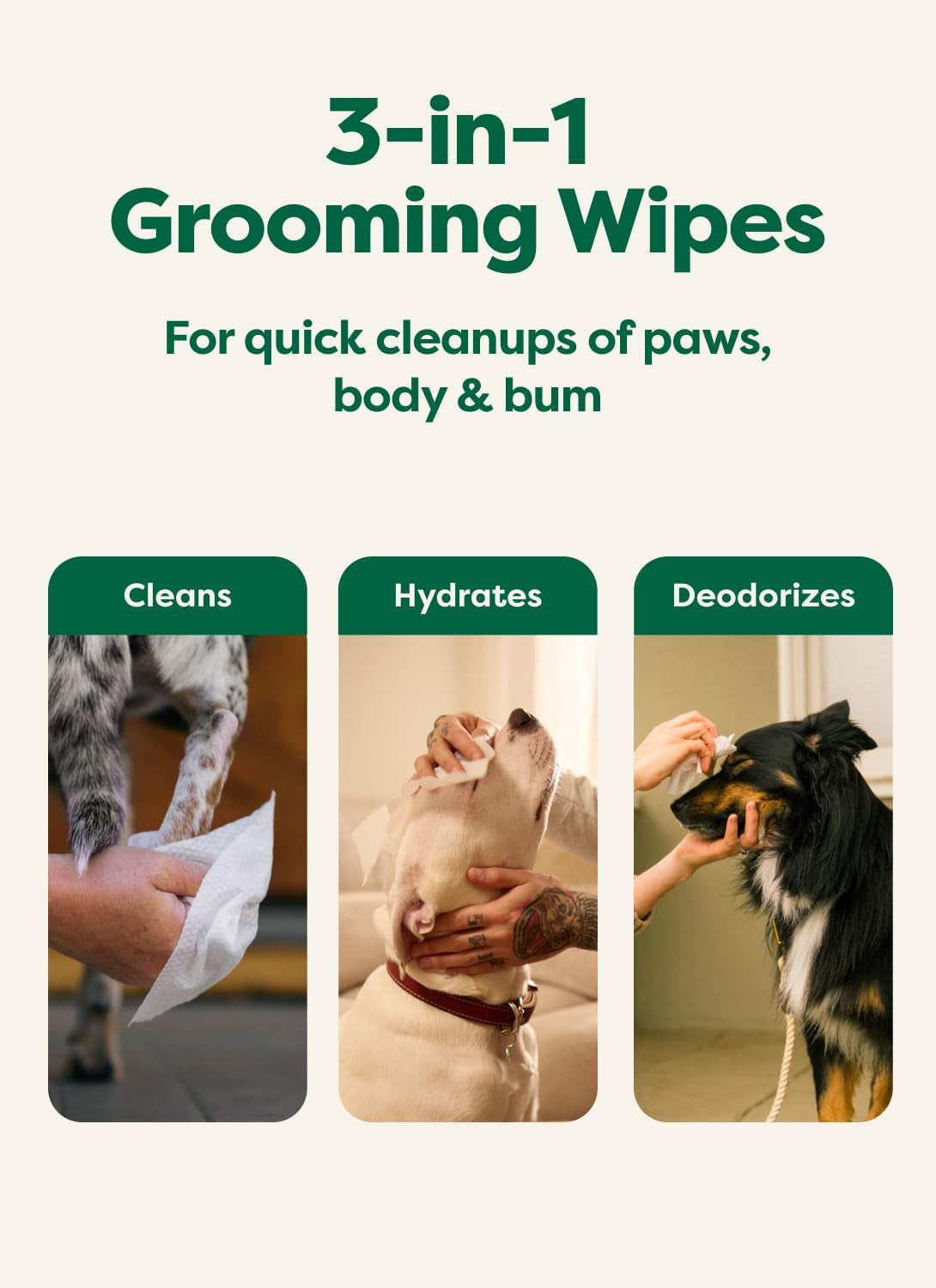 Pet grooming wipes for everyday dog care