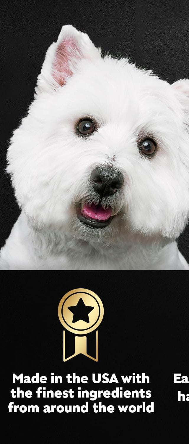 Filets in Gravy Adult Wet Dog Food Variety Pack, Filet Mignon, New York Strip and Prime Rib Flavors, 3.5 Oz. Easy Peel Trays, Variety Pack, 24 Count