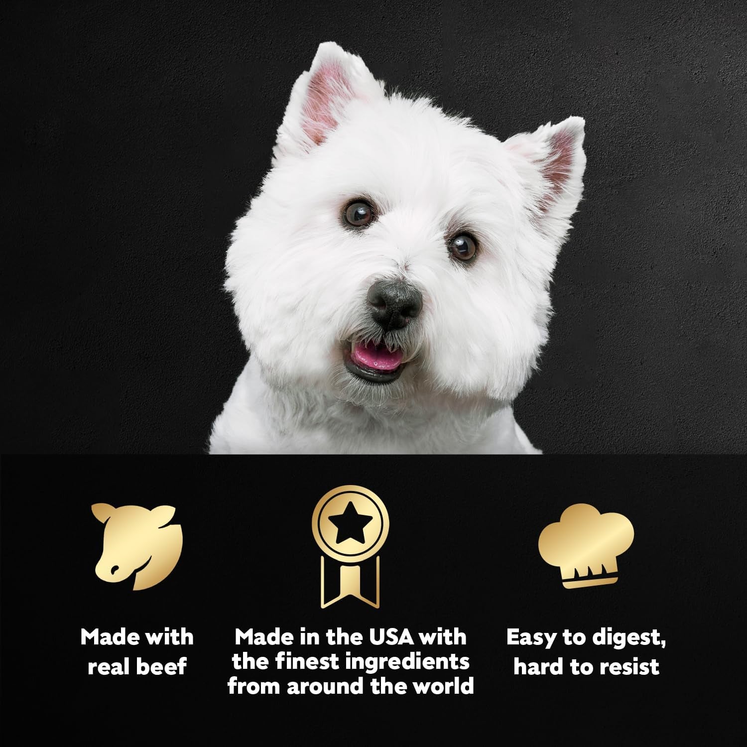 Filets in Gravy Adult Wet Dog Food Variety Pack, Filet Mignon, New York Strip and Prime Rib Flavors, 3.5 Oz. Easy Peel Trays, Variety Pack, 24 Count