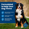 Life Protection Formula Adult Dry Dog Food, Chicken & Brown Rice, 5 Lbs.