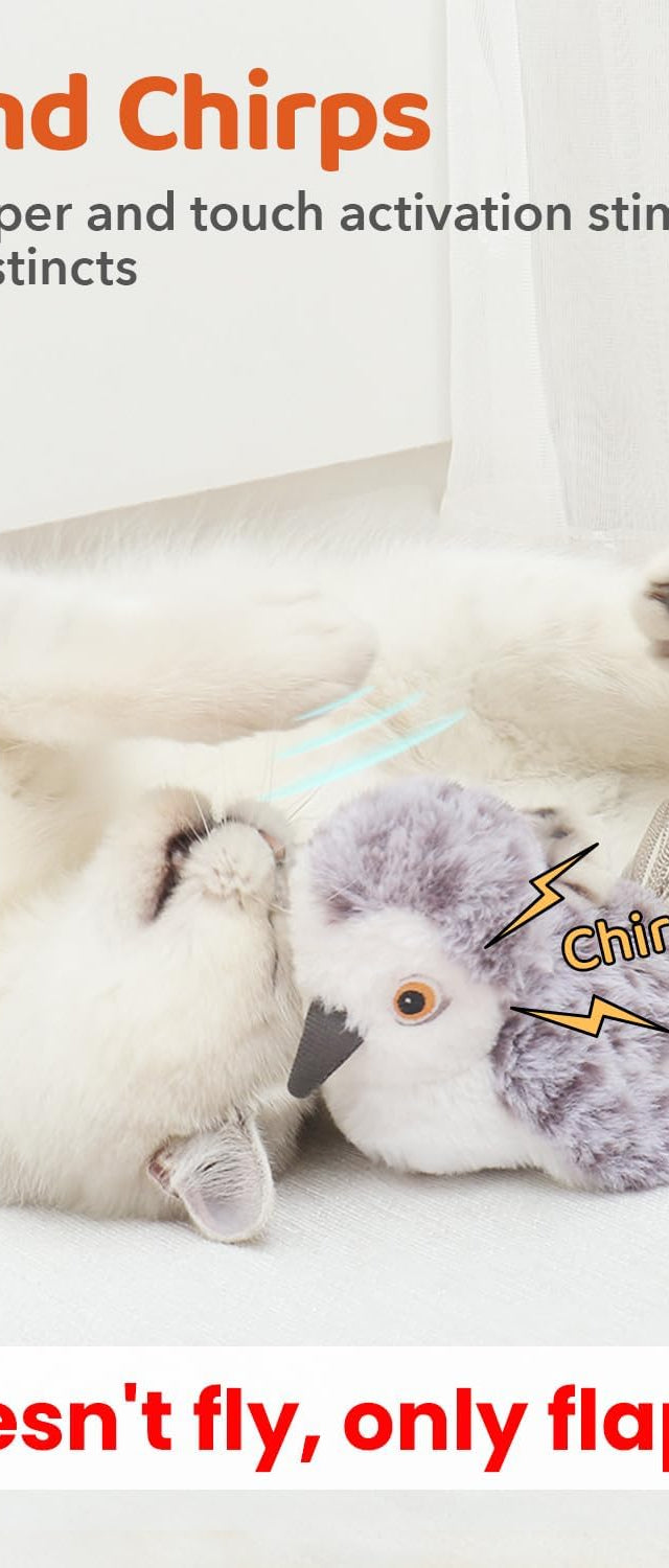 Chirping cat toy for play and enrichment