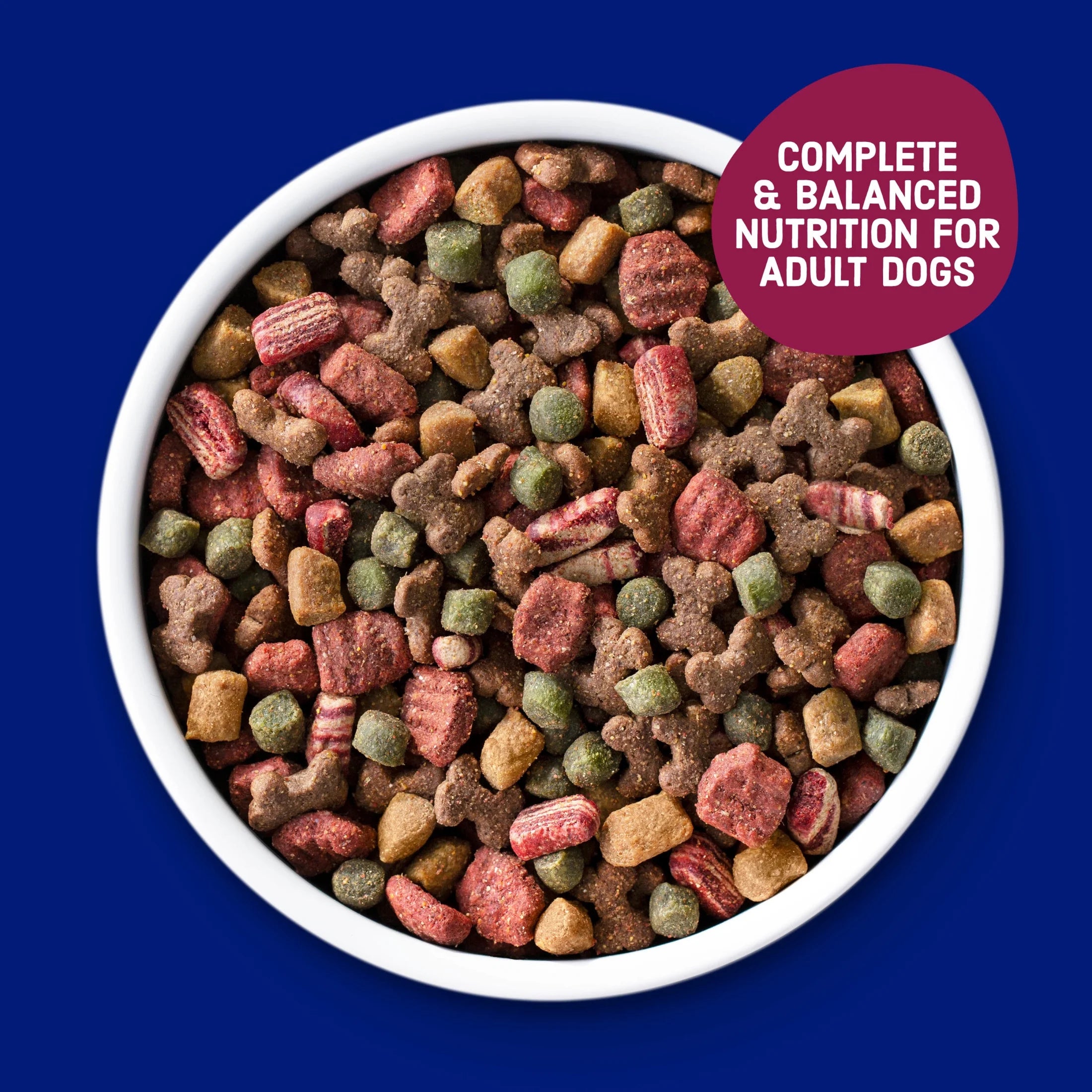 Kibbles 'N Bits Dry Dog Food for Adult Dogs, Savory Bacon & Steak Flavor, 16 Lb. Bag