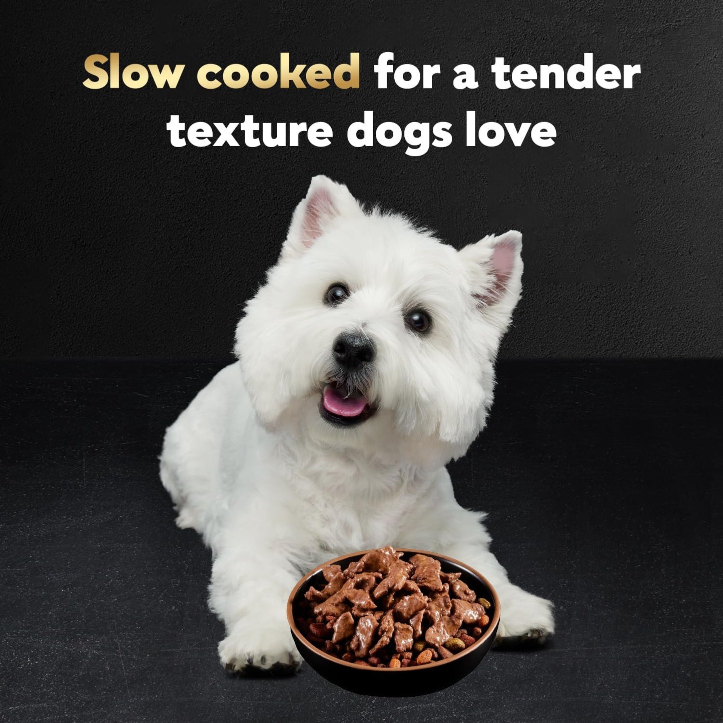 Filets in Gravy Adult Wet Dog Food Variety Pack, Filet Mignon, New York Strip and Prime Rib Flavors, 3.5 Oz. Easy Peel Trays, Variety Pack, 24 Count