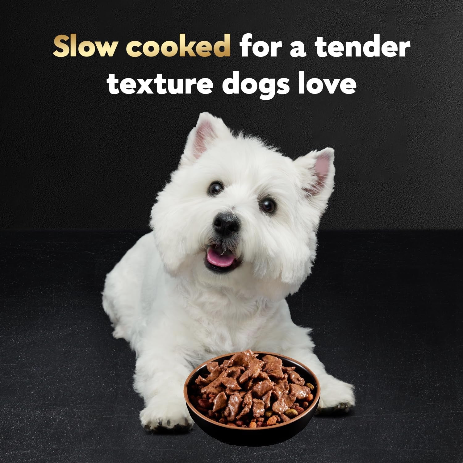 Filets in Gravy Adult Wet Dog Food Variety Pack, Filet Mignon, New York Strip and Prime Rib Flavors, 3.5 Oz. Easy Peel Trays, Variety Pack, 24 Count