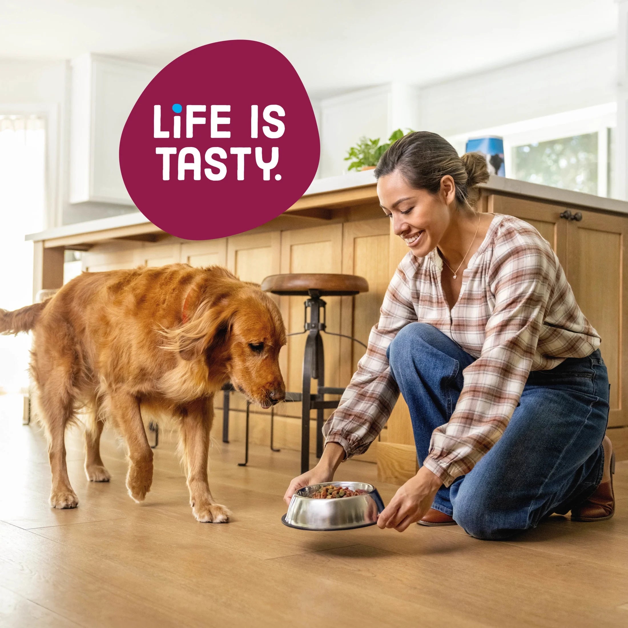 Kibbles 'N Bits Dry Dog Food for Adult Dogs, Savory Bacon & Steak Flavor, 16 Lb. Bag