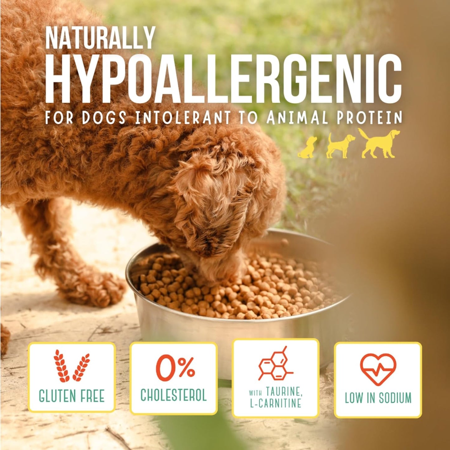 : Super Premium - Puppies - 6.6 Lb Bag Dog Food - Plant Based Protein, Vegan Dry Pet Kibble, Gluten Free, Complete Nutrition